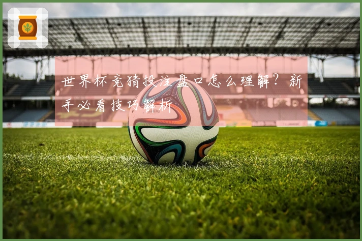 世界杯竞猜投注盘口怎么理解？新手必看技巧解析