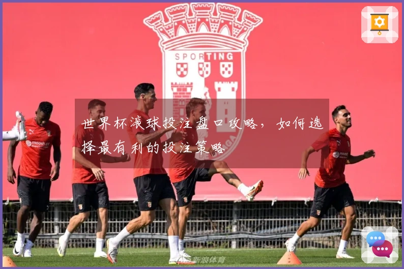 世界杯滚球投注盘口攻略，如何选择最有利的投注策略