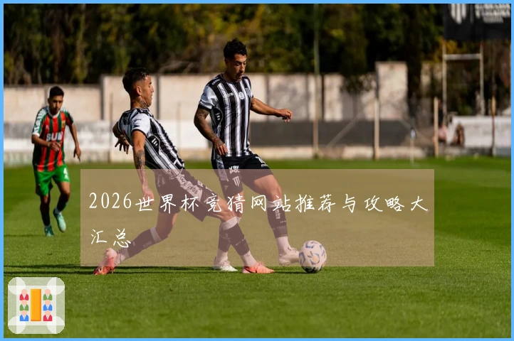 2026世界杯竞猜网站推荐与攻略大汇总
