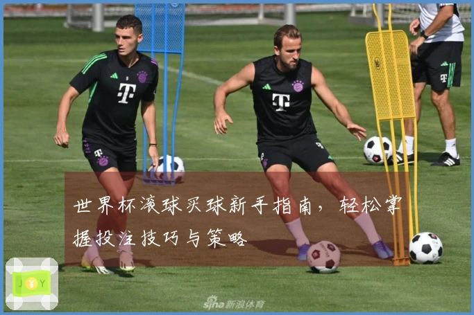 世界杯滚球买球新手指南，轻松掌握投注技巧与策略