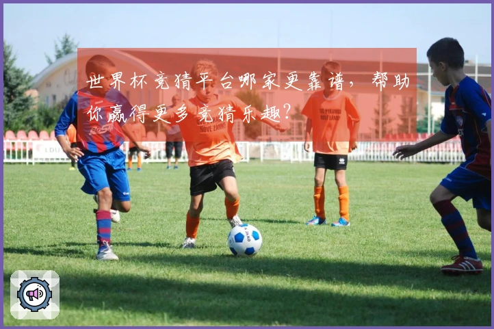 世界杯竞猜平台哪家更靠谱，帮助你赢得更多竞猜乐趣？