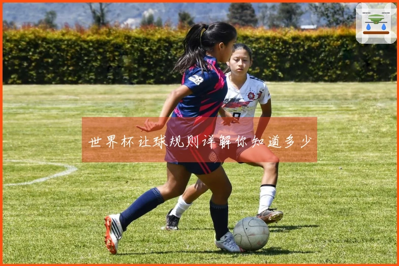 世界杯让球规则详解你知道多少