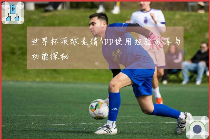 世界杯滚球竞猜App使用经验分享与功能探秘