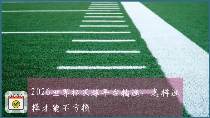 2026世界杯买球平台精选，怎样选择才能不亏损