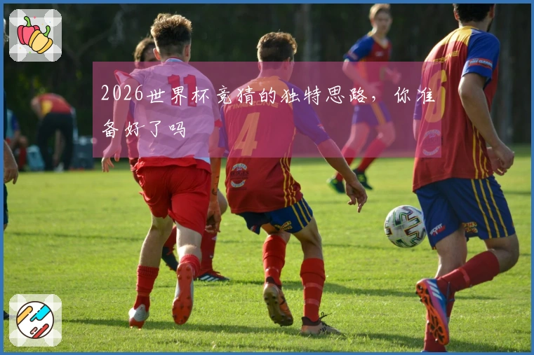 2026世界杯竞猜的独特思路，你准备好了吗