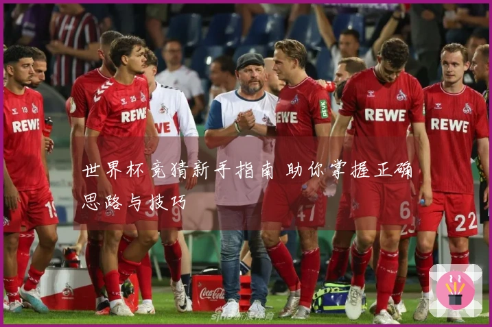 世界杯竞猜新手指南 助你掌握正确思路与技巧