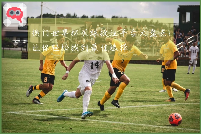 热门世界杯买球投注平台大盘点，让你轻松找到最佳选择