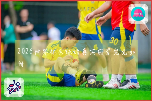 2026世界杯买球的真实前景究竟如何
