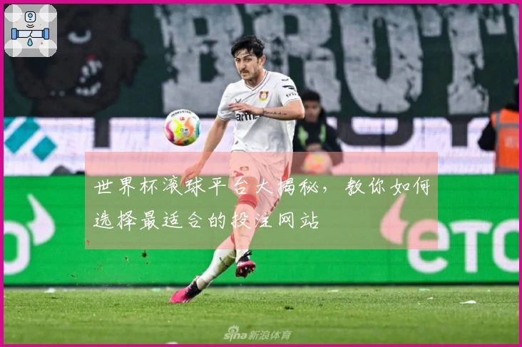 世界杯滚球平台大揭秘，教你如何选择最适合的投注网站