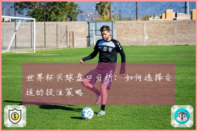 世界杯买球盘口分析：如何选择合适的投注策略