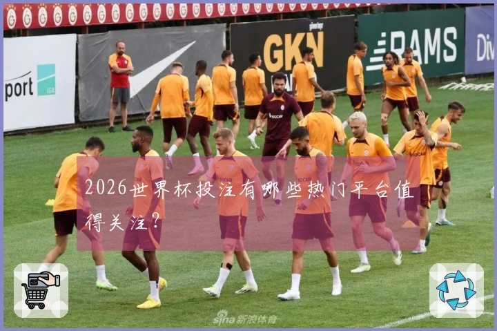 2026世界杯投注有哪些热门平台值得关注？