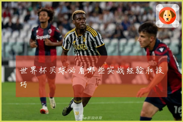 世界杯买球必看哪些实战经验和技巧