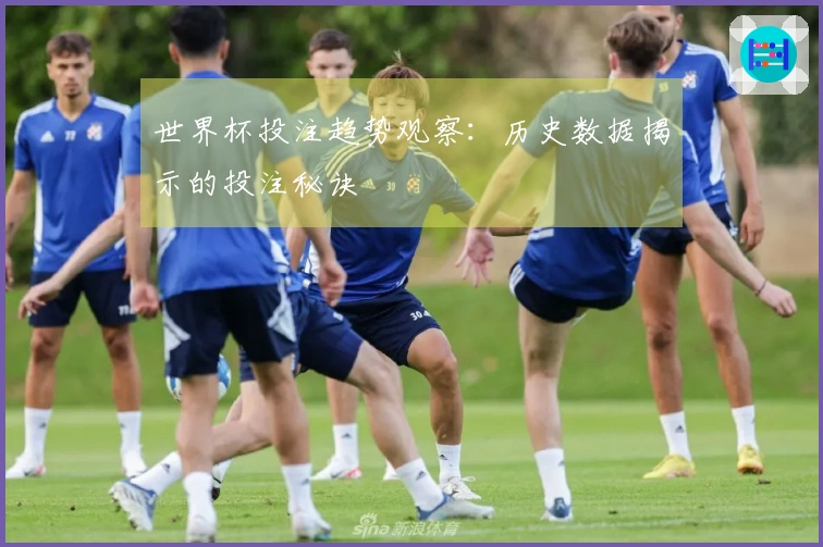 世界杯投注趋势观察：历史数据揭示的投注秘诀
