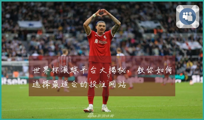 世界杯滚球平台大揭秘，教你如何选择最适合的投注网站