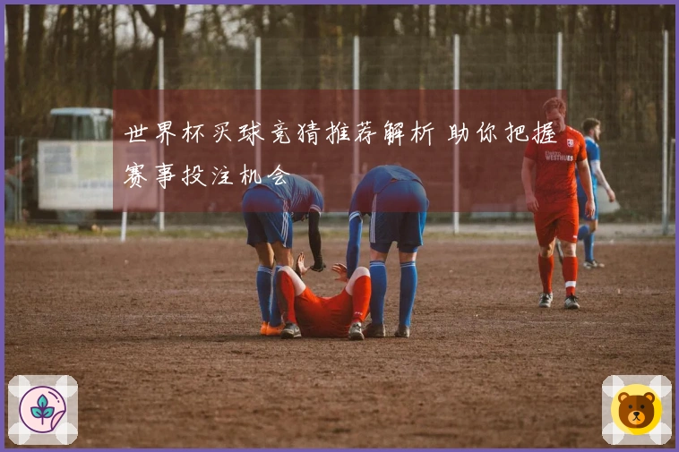 世界杯买球竞猜推荐解析 助你把握赛事投注机会
