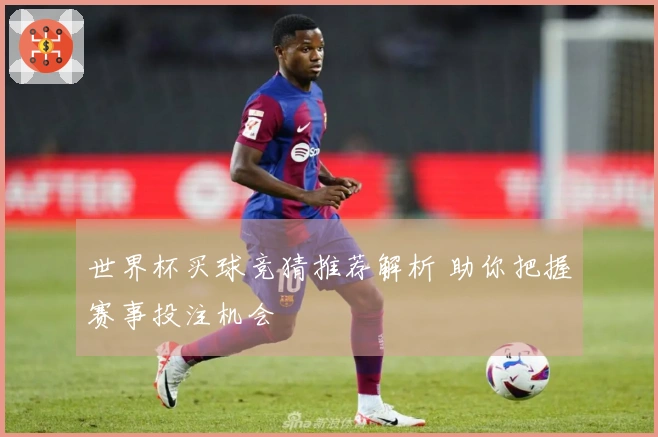 世界杯买球竞猜推荐解析 助你把握赛事投注机会