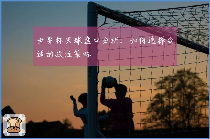 世界杯买球盘口分析：如何选择合适的投注策略