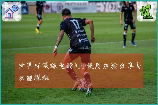 世界杯滚球竞猜App使用经验分享与功能探秘