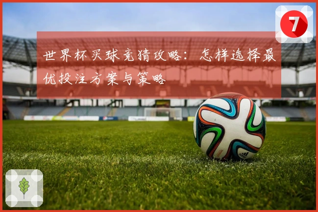 世界杯买球竞猜攻略：怎样选择最优投注方案与策略